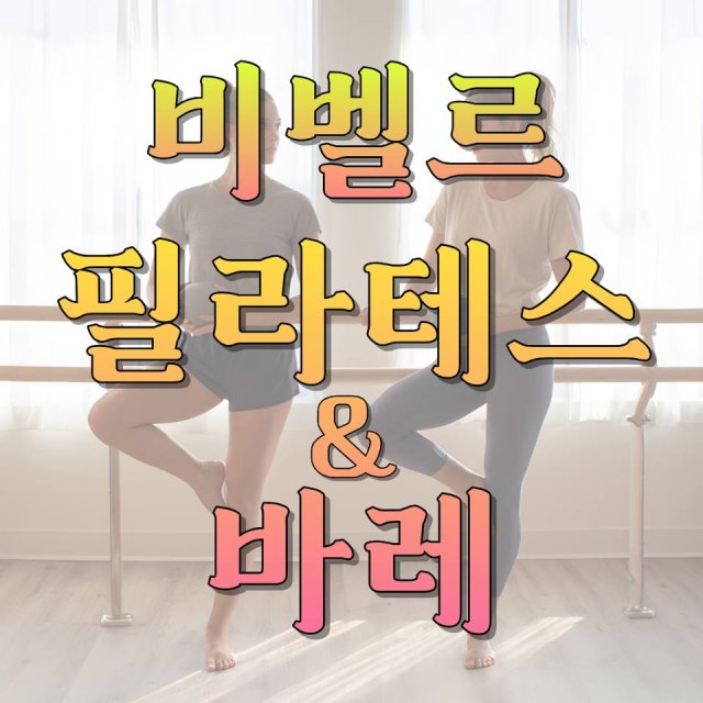 아산 반려견 미용 몽실